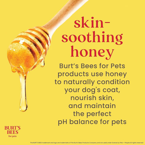 95% 16 oz BURT'S BEES FOR PETS Deodorizing Dog Shampoo with Apple and Rosemary, Natural Origin Formulas, Dog