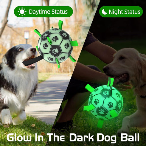 Light Up Dog Ball, Interactive Glow in The Dark Soccer Ball, Tug Water Toy for Small & Medium Dogs, Puppy Gifts (6 Inch)