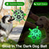 Light Up Dog Ball, Interactive Glow in The Dark Soccer Ball, Tug Water Toy for Small & Medium Dogs, Puppy Gifts (6 Inch)