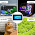 Digital Thermometer Temperature Gauge with USB Power Supply and Sensor Probe for Aquarium and Vehicle