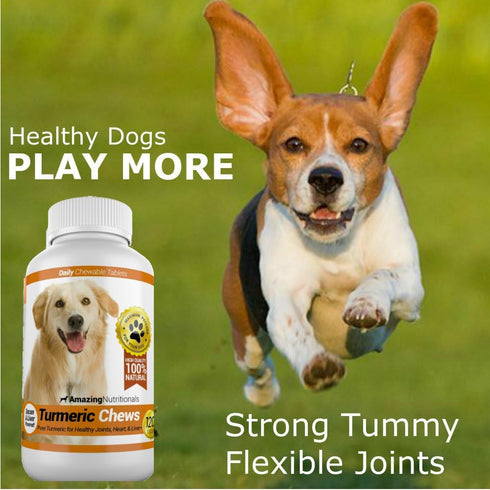 Amazing Nutritionals Inflammation, 120 Amazing Turmeric for Dogs Curcumin Pet Antioxidant, Eliminates Joint Pain Chews