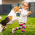 9 Pcs Latex Squeaky Dog Toys Ball - Interactive Fetch Toys for Small Medium and Large Dogs