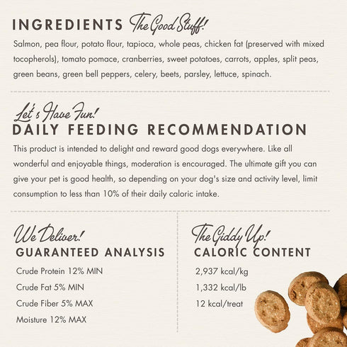 Fromm Four-Star Nutritionals Salmon with Sweet Potato Dog Treats, Premium Oven Baked Snacks, 8 oz