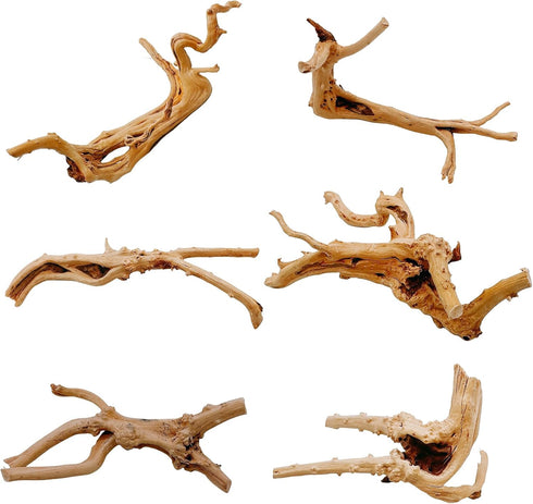 Hamiledyi 6 PCS Natural Spider Wood Driftwood, Assorted Branches for Reptiles and Fish Tank Decoration (6-8 inch)
