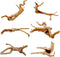 Hamiledyi 6 PCS Natural Spider Wood Driftwood, Assorted Branches for Reptiles and Fish Tank Decoration (6-8 inch)