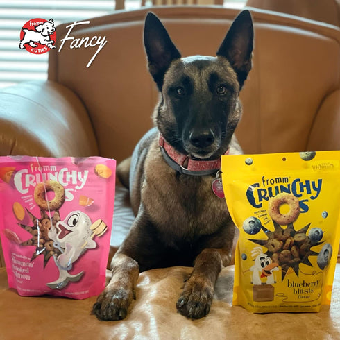 Fromm Crunchy Os Blueberry Blasts Dog Treats, Chicken Recipe, 6 oz
