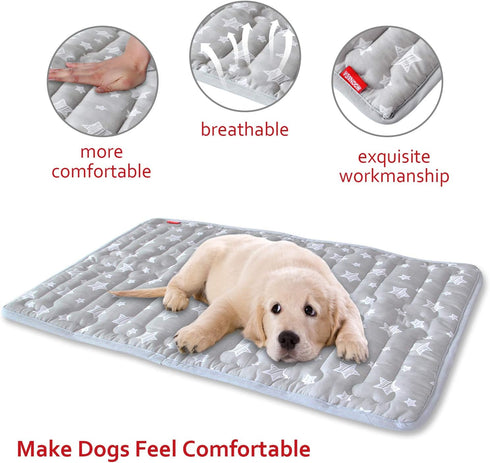 Soft Dog Bed Mat with Cute Prints, Dog Crate Mat (21" X 14"), Personalized Dog Crate Pad, Anti-Slip Bottom, Machine