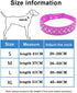 Bling Rhinestone PU Leather Crystal Diamond Pet Dog Cat Puppy Collar Black S M L XL (M, Light Blue)