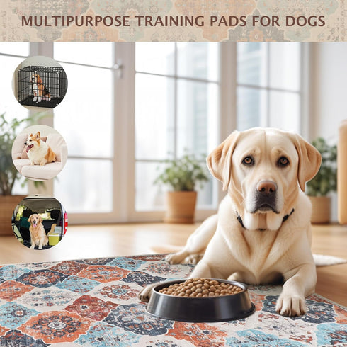 IEUUMLER 2 Pack EU011 (Orange,24" 18") Washable Pee Pads for Dogs, Reusable Pee Pads for Dogs Non-Slip Grip, Super