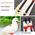 QBLEEV Pet Cole Duck Diapers for Baby Ducks, Chicken Diapers for Real Hens, Fashionable Duckling Nappy Poultry Cloth