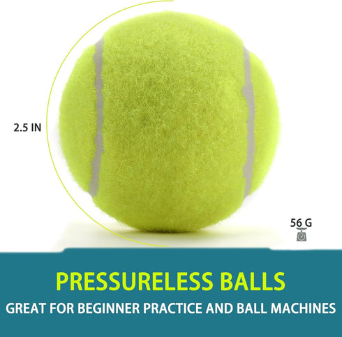 12 Pack INSUM Bulk Tennis Balls for Beginner High Elasticity Practice Tennis Balls with Mesh Bag, Suit for Pet Dog