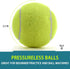 12 Pack INSUM Bulk Tennis Balls for Beginner High Elasticity Practice Tennis Balls with Mesh Bag, Suit for Pet Dog