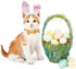 ADOGGYGO 2 Pack Cat Collar with Bow Tie Bell, Breakaway Kitten Collar with Removable Bowtie Carrot Pattern