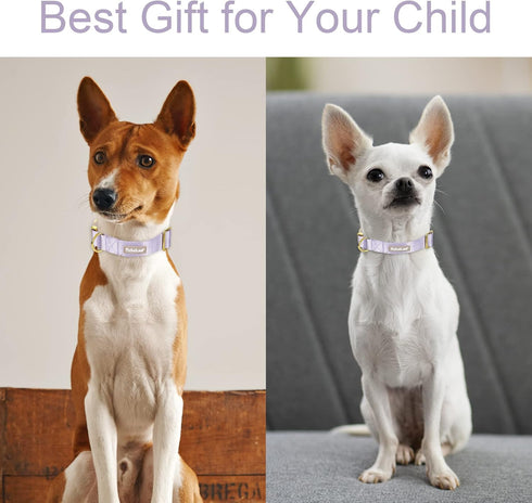 Babole Nylon Dog Collars in Lavender for Small Puppy Dogs, 13 Colors, Adjustable Soft Comfortable Collars with Safety