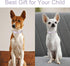 Babole Nylon Dog Collars in Lavender for Small Puppy Dogs, 13 Colors, Adjustable Soft Comfortable Collars with Safety