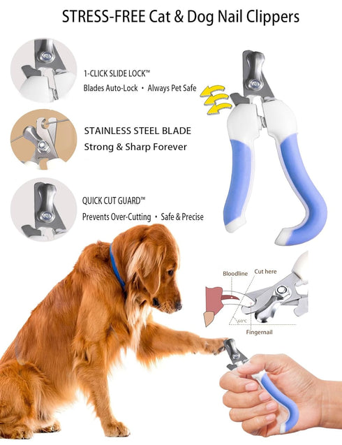 6 Dog Cat Grooming Kit, Brushes, Dematting Rake and Comb, Nail Clipper, Nail File, Flea Comb (Blue Kits)