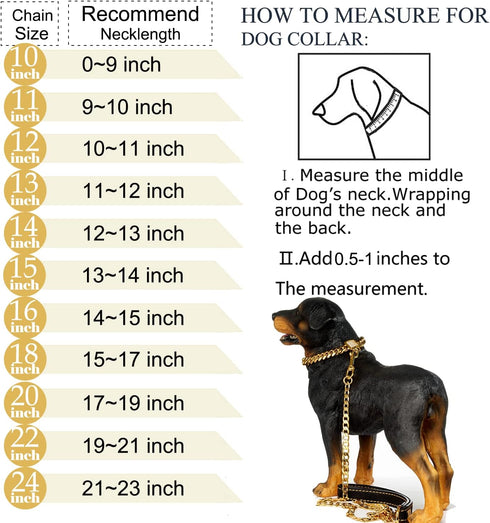 Designer Dog Collar with Gold Metal Stainless Steel & Zirconia Lock - 18K Gold Luxury Training Collar (18 inch)