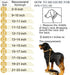 Designer Dog Collar 14mm Gold Metal Stainless Steel with Zirconia Lock, 18K Gold Big Dog Luxury Training Necklace Chain