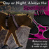 Eagloo Small Dog Harness, No Pull Service Vest with Reflective Strips and Control Handle, Adjustable and Comfortable,