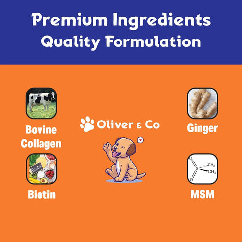 Liquid Collagen for Dogs - Itch Relief Supplement, Bacon Flavor, 1 fl oz Dog Collagen
