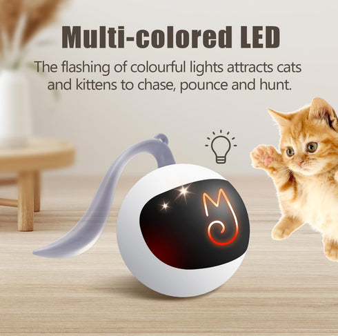 Migipaws Interactive Cat Ball Toy Set, Automatic Rolling Chase Ball with Fluffy Tail, Rechargeable (White)