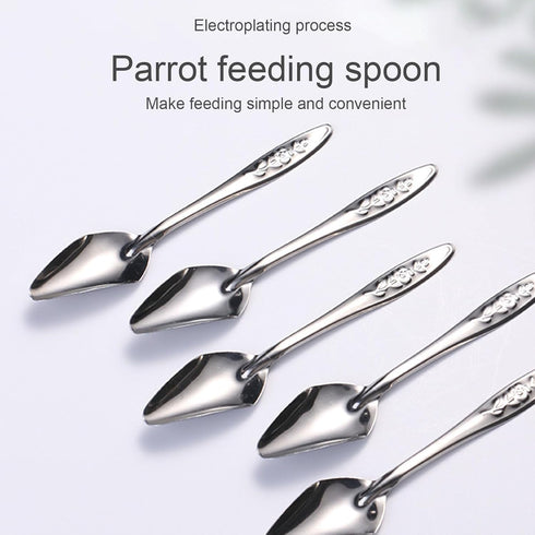 Youngy 8Pcs Bird Parrot Feeder Spoon Stainless Steel Milk Medicine Avoid Asphyxia for All Baby Bird Feeding Spoon