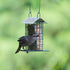 Wild Wings Decorative Metal Suet Cage Feeder for Outdoor Wild Bird Feeders, Black