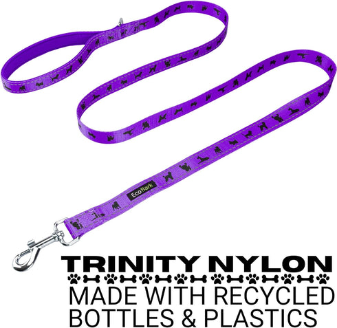 EcoBark Reflective Dog Leash, 4 FT / 5 FT / 6 FT, Eco-Bright with Padded Handle for Small and Medium Dogs (Purple)