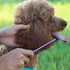 ROPO Dog Comb for Removing Matted Fur - Pet Dematting Comb with Non-Slip Grip Handle and Rounded Teeth for Long and