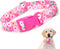 Cute Pink Dog Collar with Spring Flower Pattern, Soft Nylon Adjustable Quick Release Buckle for Medium Female Dogs
