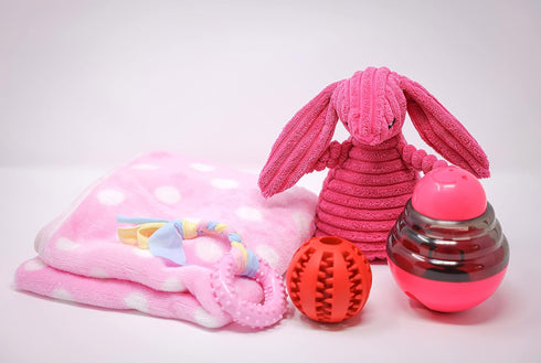 Pink Dog Gift Box - Puppy Care Package with 5 Chew Toys, Dog Blanket, Squeaky Plush, Rubber Teether, and Treat Ball