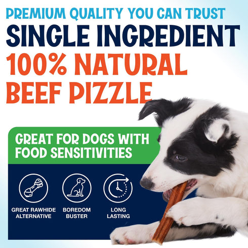 (6 Inch, 25 Pack), 1 lb. 100% Odor-Free Bully Sticks Bag, Fully Digestible Beef Pizzle Chews, Grass-Fed, Non-GMO