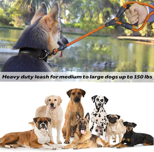 Dog Leash, 5 FT Heavy Duty Double Handle Leash with Comfortable Padded and Reflective Rope for All Dog Sizes