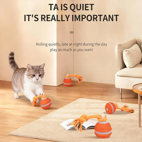 SPGSWCY 2-Pack Interactive Dog & Cat Toys for Small Dogs Indoor Cats - Auto Moving Balls with Chirping Squeaky Sounds