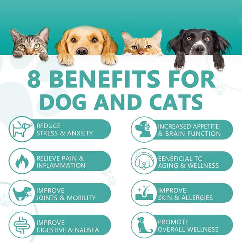 1 Pack-Delicious Oil for Dogs and Cats & Appealing Rich in Vitamins and Fatty Acids