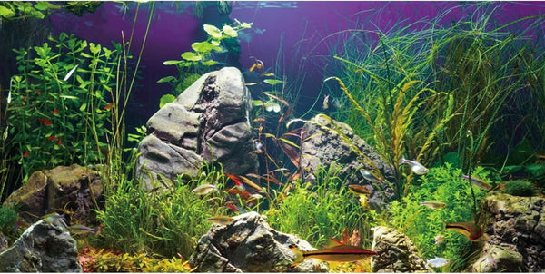 AWERT 48x18 inches Aquarium Background, Seagrass, Stone River Bed & Lake Fish Tank Vinyl Background