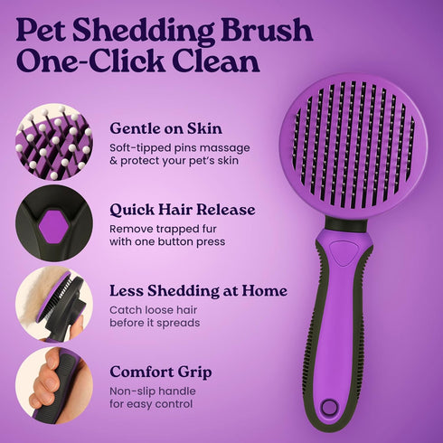 gameOFF 6 1, (30ct.), Cat Care Grooming Kit in Include: Nail Clipper, Brush for Shedding, Wand Toy, Interactive Ball