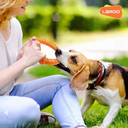 LaRoo Dog Flying Ring Toys, Floating Flying Disc Toys, Summer Pet Training Outdoor Durable Chew Toys for Medium and