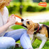LaRoo Dog Flying Ring Toys, Floating Flying Disc Toys, Summer Pet Training Outdoor Durable Chew Toys for Medium and