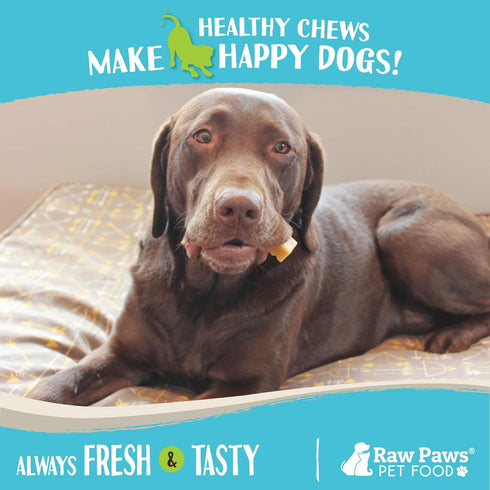Raw Paws Himalayan Yak Chews for Dogs, Medium (3 Count) - Tibetan Yak Cheese Dog Chews