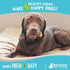 Raw Paws Himalayan Yak Chews for Dogs, Medium (3 Count) - Tibetan Yak Cheese Dog Chews