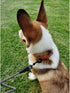MayPaw Heavy Duty Rope Dog Leash, Nylon Pet Leash with Soft Padded Handle for Large Medium Dogs (Black, 10ft)