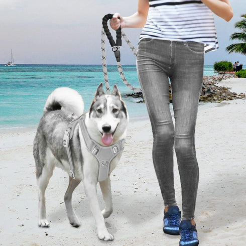 BARKBAY No Pull Dog Harness Large, Reflective Harness with Front Clip and Easy Control Handle, Grey