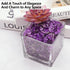 EZEELAI 0.88 Lb Amethyst Crushed Stones Crystal Quartz Chips, Natural Tumbled Stones Irregular Shaped Gravels Pebbles