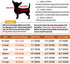 LOPHIPETS Girl Dog Shirts Recovery Suit Pajamas for Small Teacup Dogs, Cambridge Blue Strips/XXS