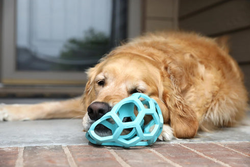 (5.5 Inch JW Pet HOL-ee Roller, Dog Toy Puzzle Ball, Natural Rubber, Large Diameter), Blue
