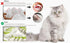 Raised Cat Dog Slow Feeder Bowl with Stand, Elevated Shallow Design, No Whisker Fatigue Ceramic Feeder