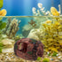 Toyvian Barrel Aquarium Decoration Resin Fish Shrimp Hideout Large Red Fish Tank Shelter Hiding Cave Freshwater Betta