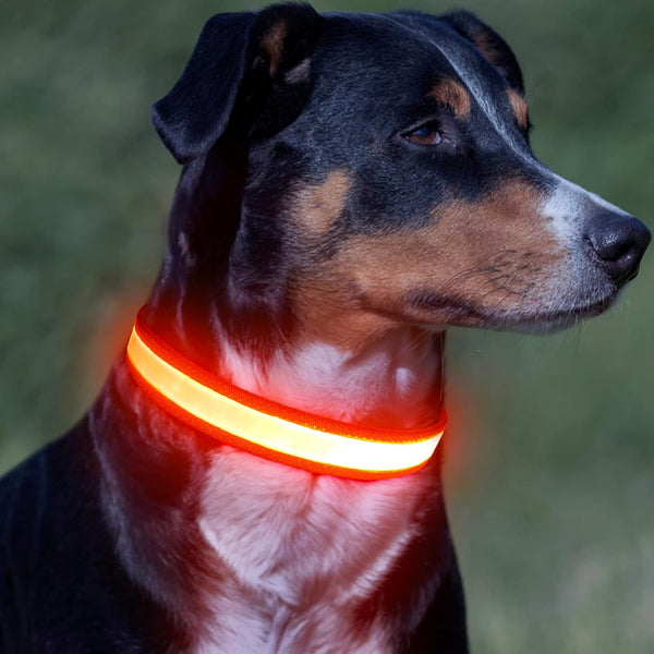 LED Dog Collar, Light Up Adjustable USB Rechargeable Safety Collar for Small Dogs (Small, Orange)