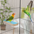Parrot Wooden Perch Platform Playground for Macaw, African Greys, Budgies, Cockatiels, Random Color Cage Accessories